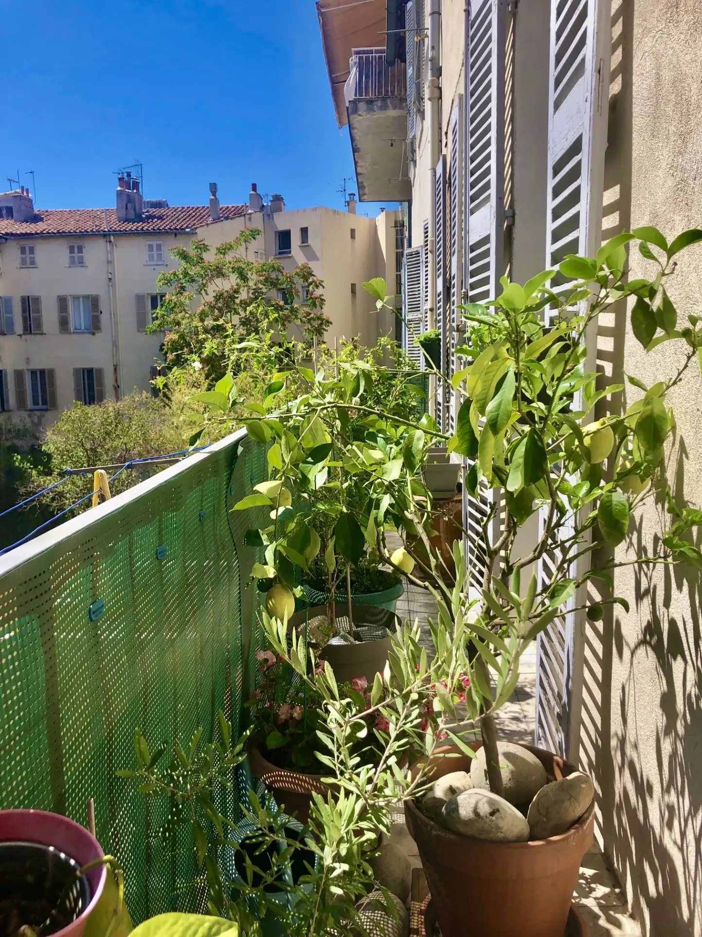 T4 88m² avec balcon filant sud, cave et grenier – Rue Victor Clapiier, Toulon